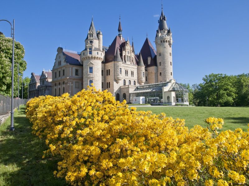 Moszna Jurapark Krasiejów